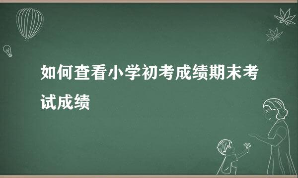 如何查看小学初考成绩期末考试成绩