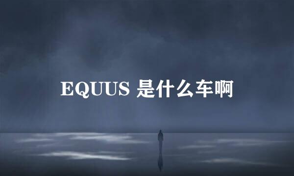 EQUUS 是什么车啊