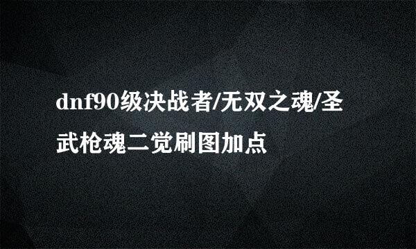 dnf90级决战者/无双之魂/圣武枪魂二觉刷图加点