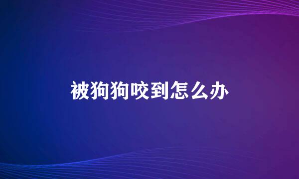 被狗狗咬到怎么办