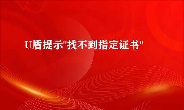 U盾提示