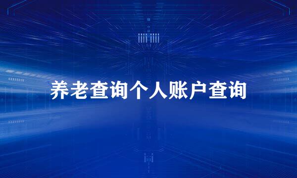 养老查询个人账户查询