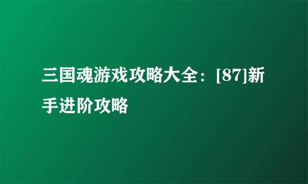 三国魂游戏攻略大全：[87]新手进阶攻略