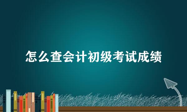 怎么查会计初级考试成绩