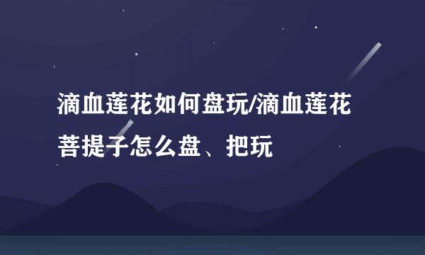 滴血莲花如何盘玩/滴血莲花菩提子怎么盘、把玩