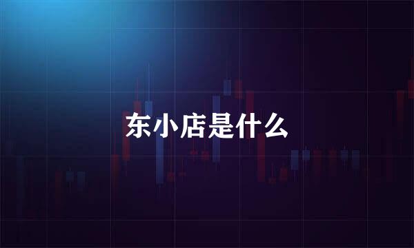 东小店是什么