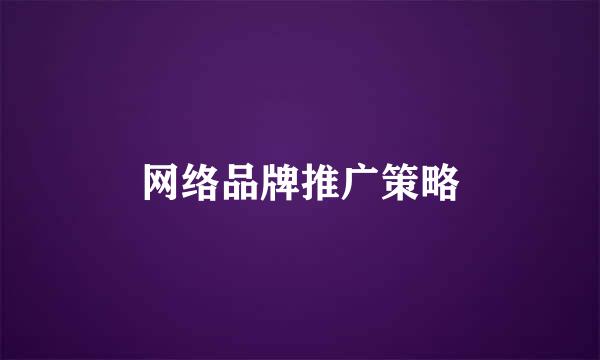 网络品牌推广策略