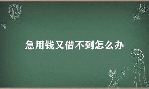 急用钱又借不到怎么办