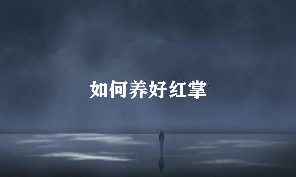 如何养好红掌