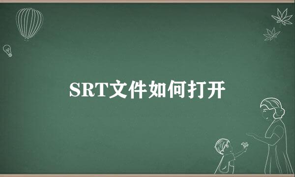 SRT文件如何打开