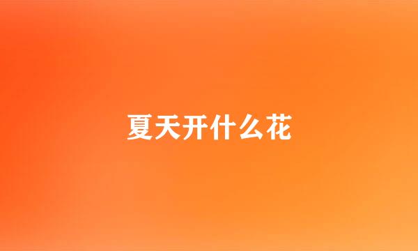 夏天开什么花