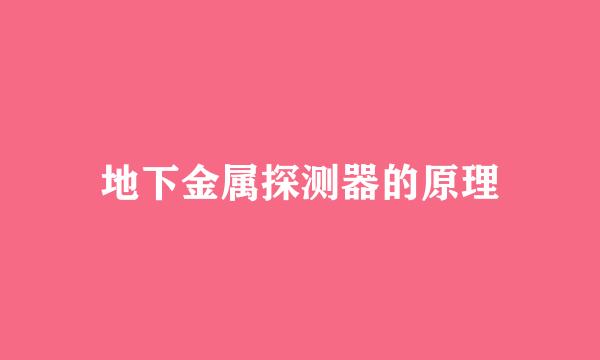 地下金属探测器的原理