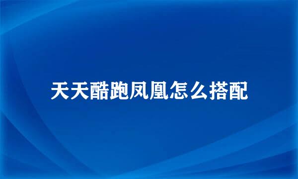 天天酷跑凤凰怎么搭配