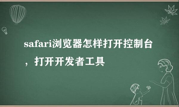 safari浏览器怎样打开控制台，打开开发者工具