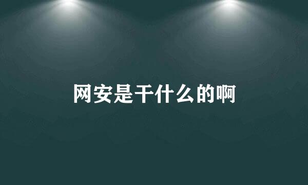 网安是干什么的啊