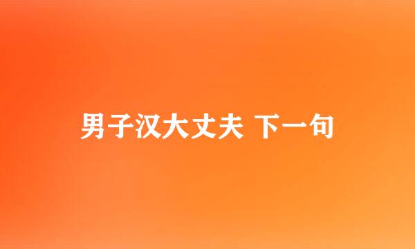 男子汉大丈夫 下一句