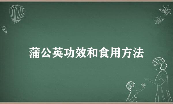 蒲公英功效和食用方法