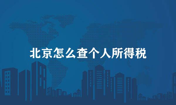 北京怎么查个人所得税