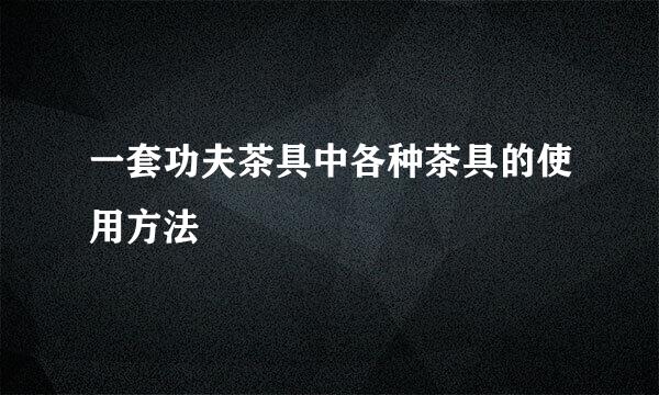 一套功夫茶具中各种茶具的使用方法