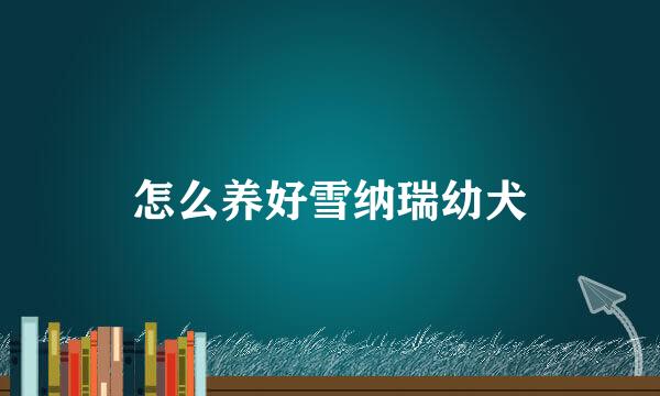 怎么养好雪纳瑞幼犬