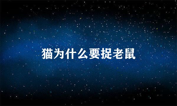 猫为什么要捉老鼠