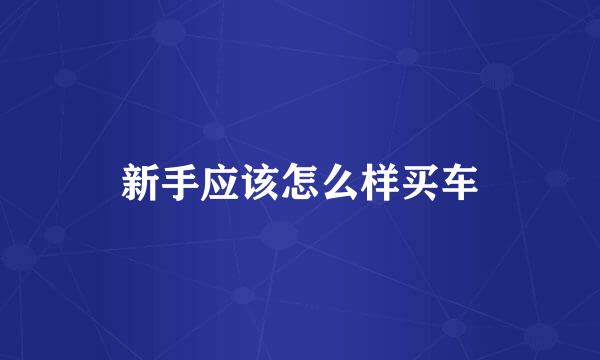 新手应该怎么样买车