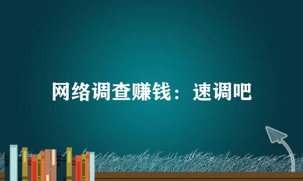 网络调查赚钱：速调吧
