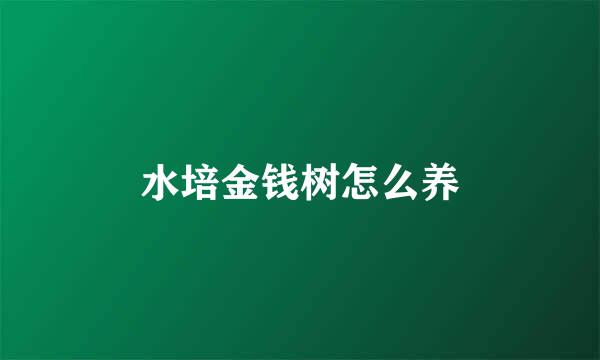 水培金钱树怎么养