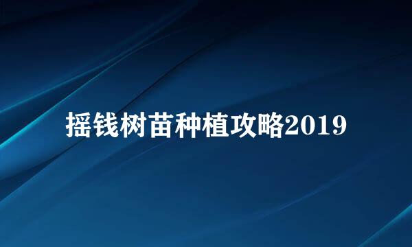 摇钱树苗种植攻略2019