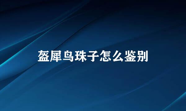 盔犀鸟珠子怎么鉴别