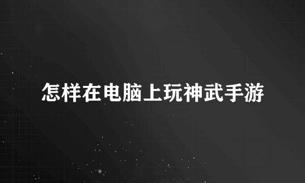 怎样在电脑上玩神武手游
