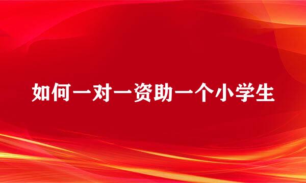 如何一对一资助一个小学生