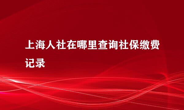 上海人社在哪里查询社保缴费记录