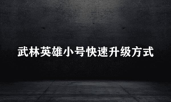 武林英雄小号快速升级方式