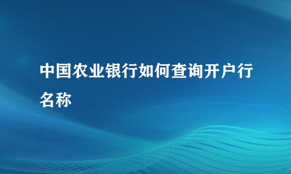 中国农业银行如何查询开户行名称