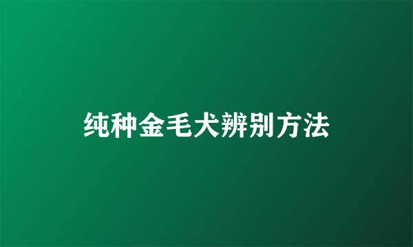纯种金毛犬辨别方法