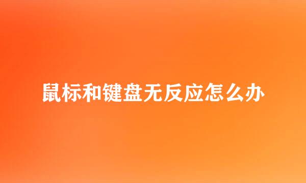 鼠标和键盘无反应怎么办