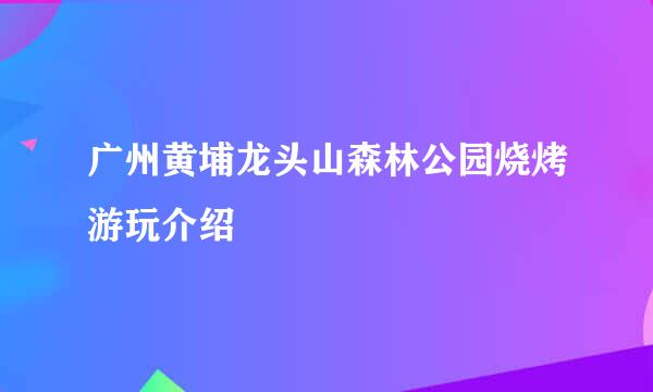 广州黄埔龙头山森林公园烧烤游玩介绍