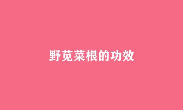 野苋菜根的功效