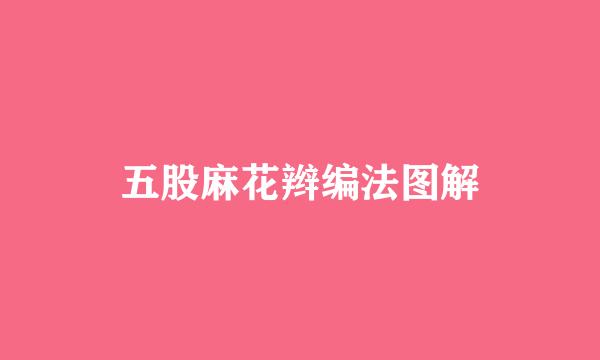 五股麻花辫编法图解