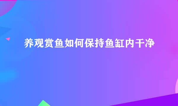 养观赏鱼如何保持鱼缸内干净