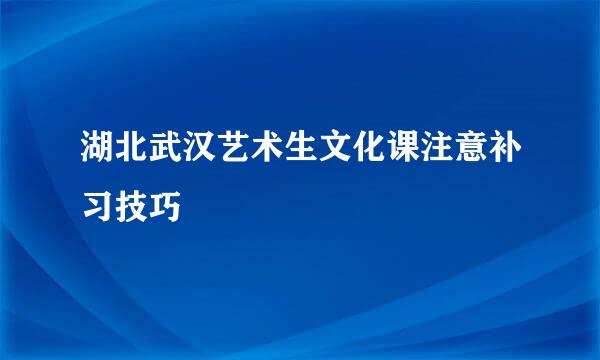 湖北武汉艺术生文化课注意补习技巧