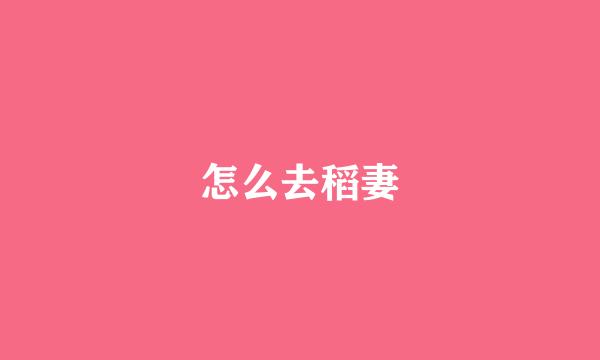 怎么去稻妻