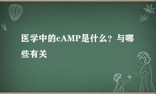医学中的cAMP是什么？与哪些有关