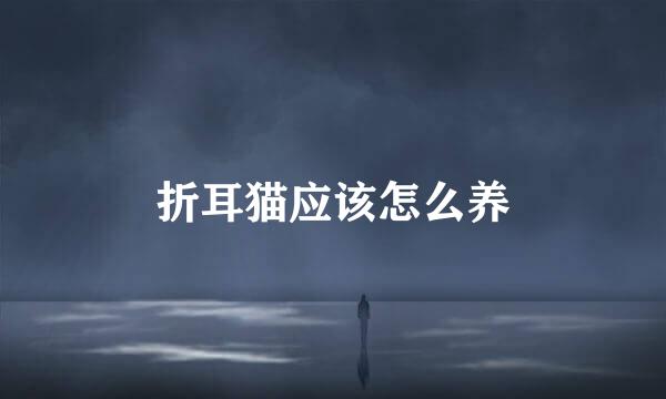 折耳猫应该怎么养