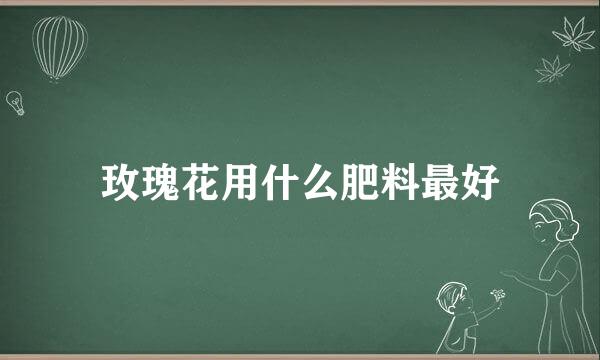 玫瑰花用什么肥料最好