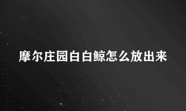 摩尔庄园白白鲸怎么放出来