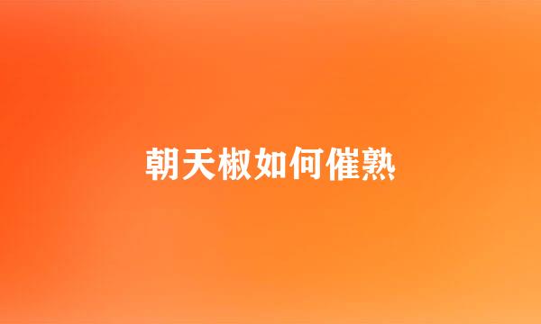 朝天椒如何催熟