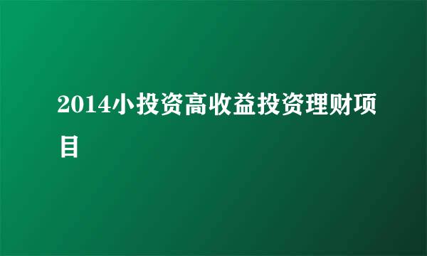 2014小投资高收益投资理财项目