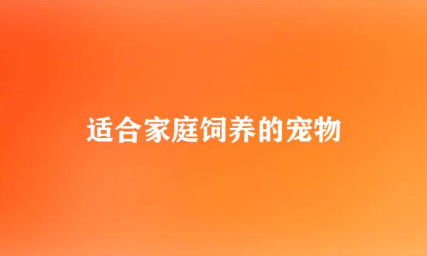 适合家庭饲养的宠物